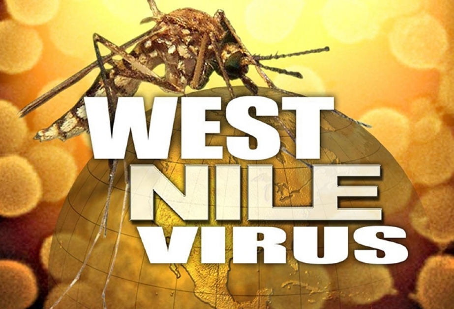 Yunanıstanda Qərbi Nil virusundan 31 nəfər vəfat edib
