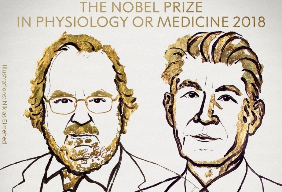 2018 Nobel Prize in Medicine Awarded to 2 Cancer Immunotherapy Researchers