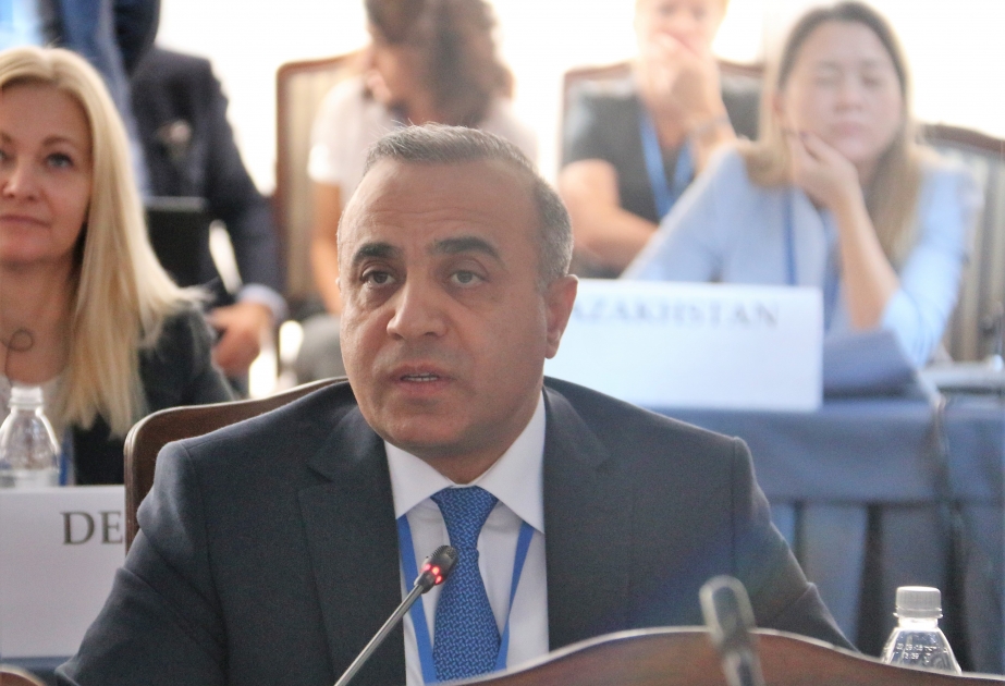 ATƏT PA-nın vitse-prezidenti Mərkəzi Asiya ölkələrinin Parlament Assambleyasının yaradılması təklifini irəli sürüb