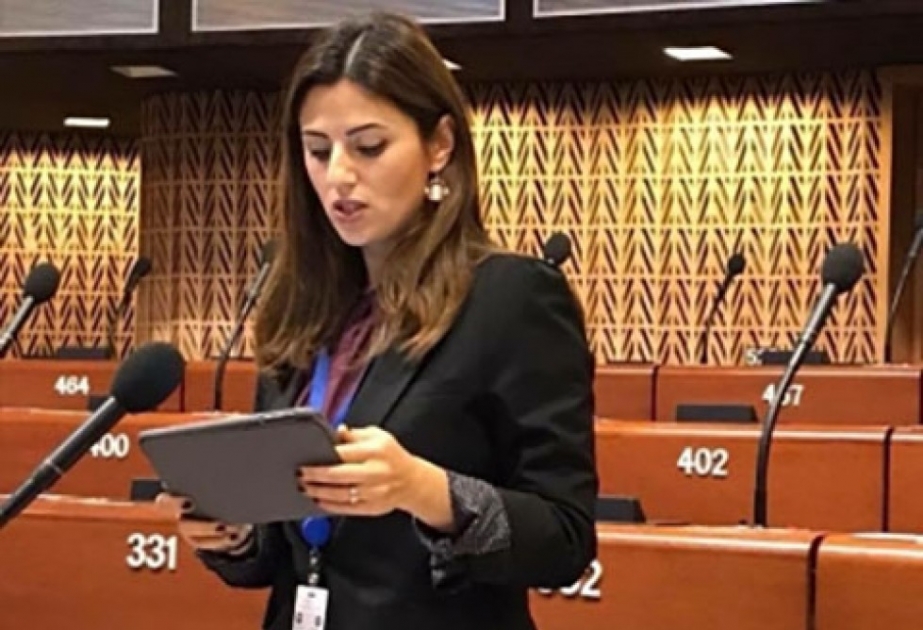 Sevinc Fətəliyeva: Türkiyənin uğurlu inkişafı böyük bir regionun sülh və sabitlik təminatıdır