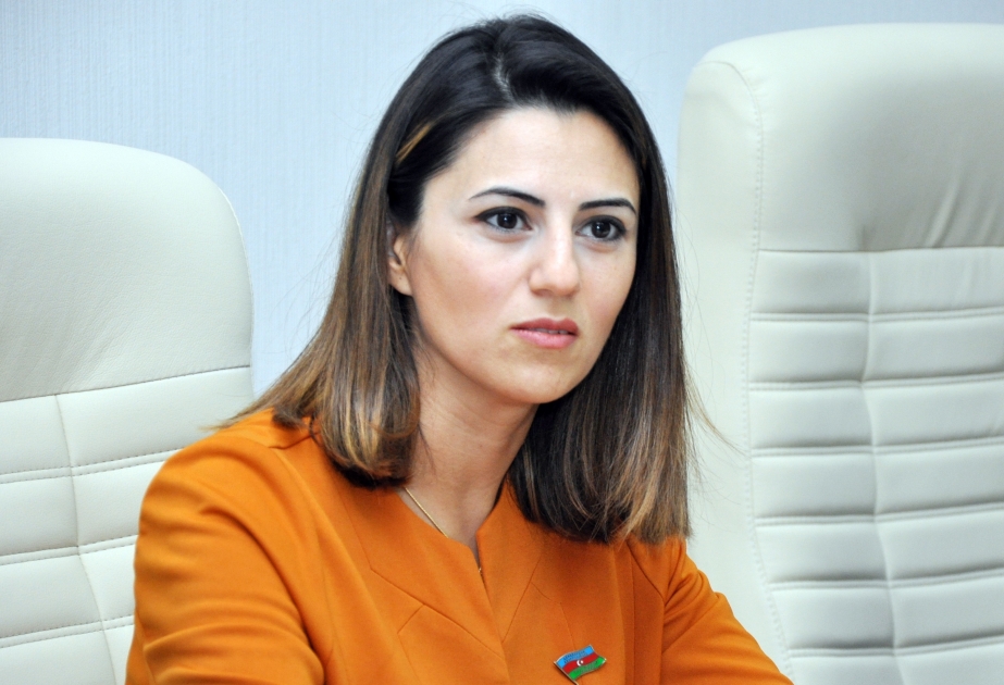 Azerbaijani MP: Fundamental freedom and human rights cannot be a subject of research