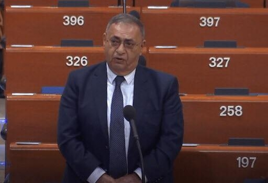 Milli Məclisin deputatı AŞPA-da Metsamor stansiyasının təhlükələrindən danışıb