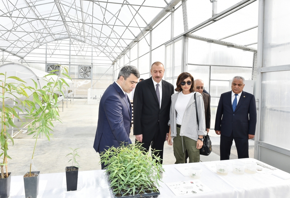 Prezident İlham Əliyev Qubada Meyvəçilik və Çayçılıq Elmi-Tədqiqat İnstitutunun əsaslı təmirdən sonra fəaliyyəti ilə tanış olub YENİLƏNİB VİDEO