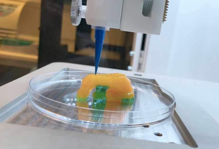 Создан 3D-принтер, печатающий любые человеческие органы