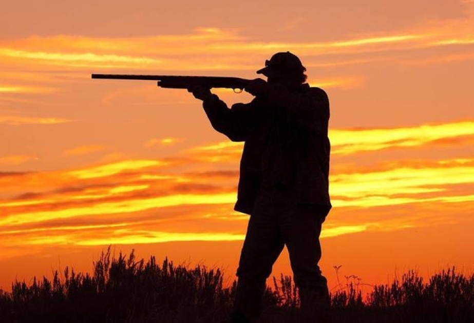 В Астаринском районе пресечена попытка незаконной охоты