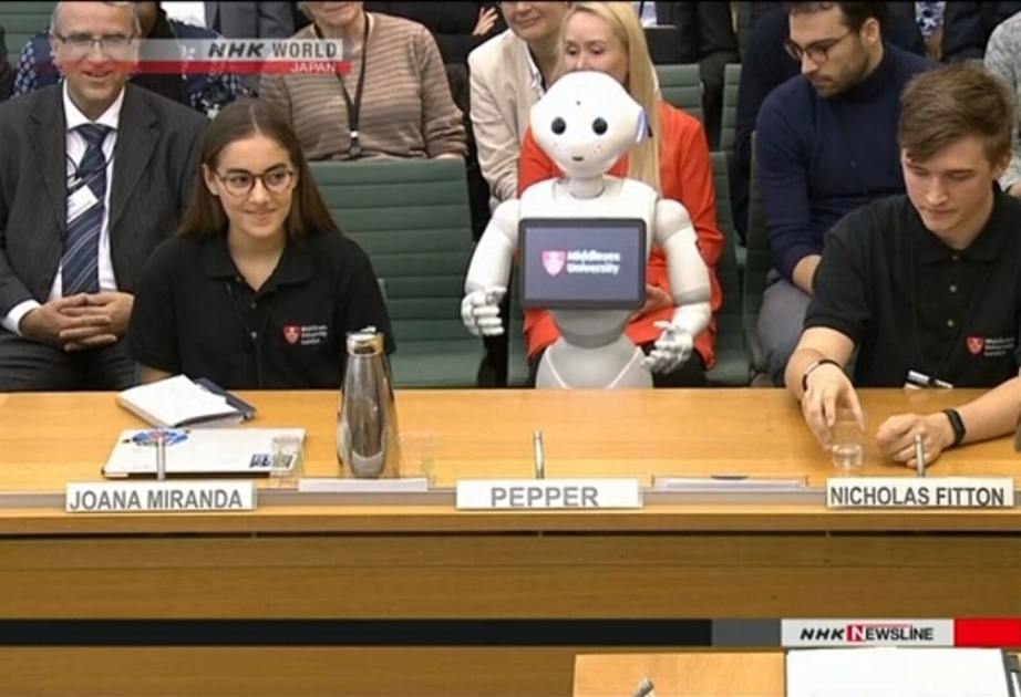 SoftBank robot Pepper testifies before British Parliament