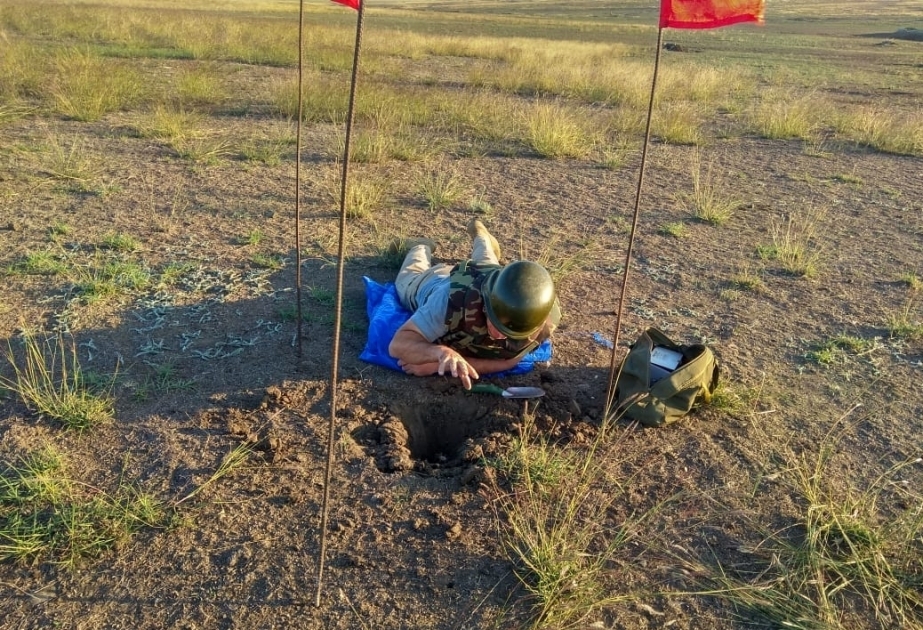 Специалисты АНАМА обнаружили неразорвавшиеся боеприпасы на территории Агстафинского района