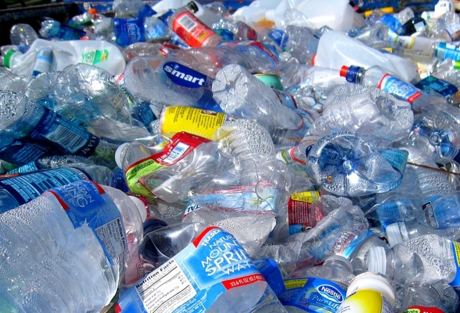 İnsan orqanizmində plastik kütlə aşkarlanıb