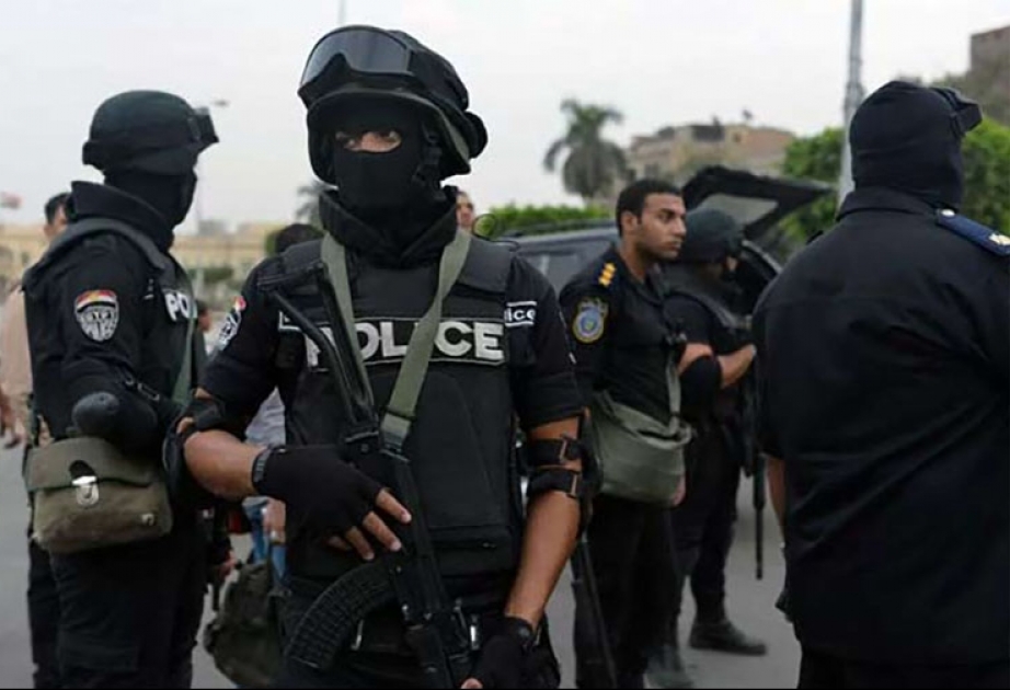 В Египте ликвидировано 11 террористов