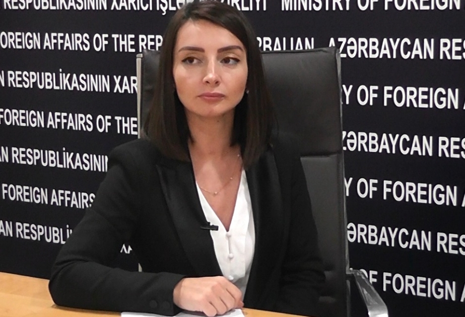 Leyla Abdullayeva: Nikol Paşinyanın son açıqlaması münaqişənin danışıqlar yolu ilə həllinə xələl gətirir