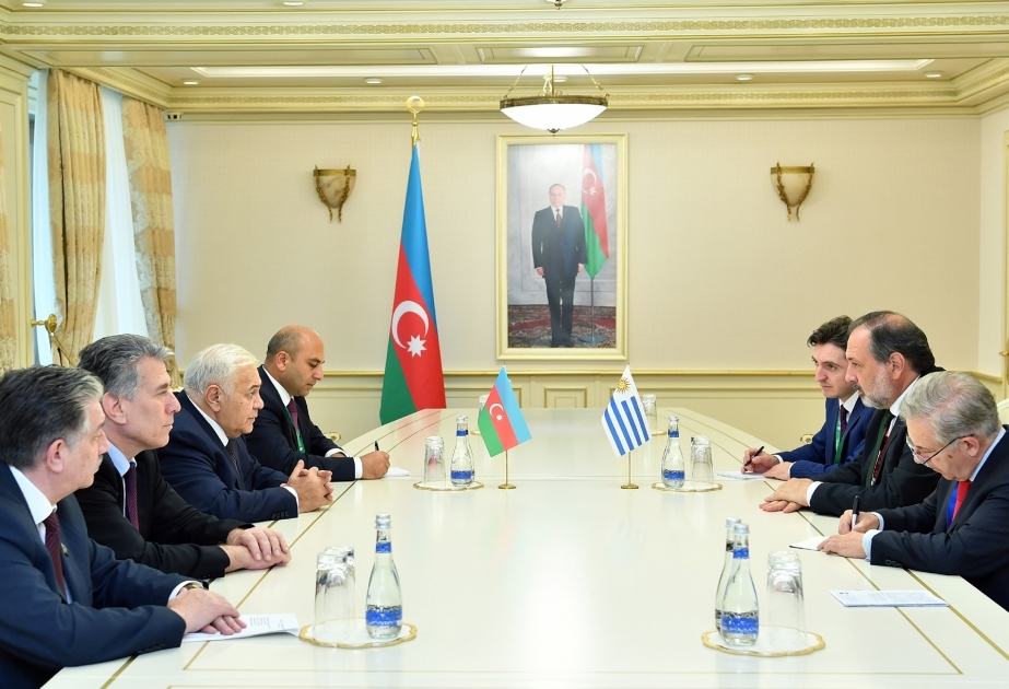 Azerbaijan, Uruguay discuss prospects for developing interparliamentary ties