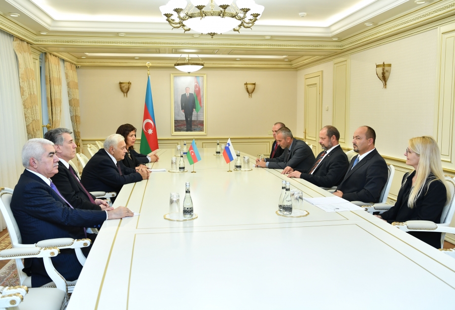 Azerbaijan, Slovenia discuss ways of developing relations