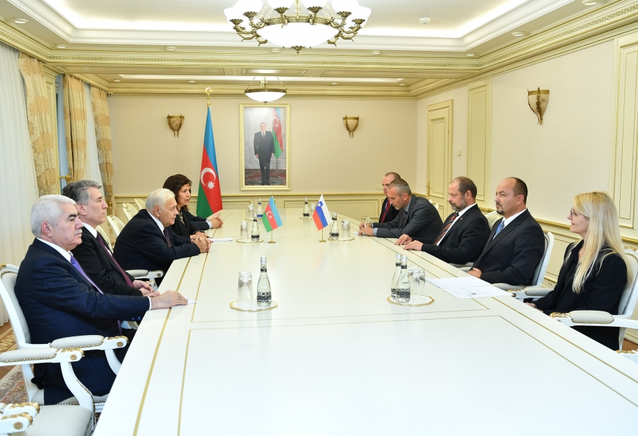 Le développement des liens azerbaïdjano-slovènes au cœur des discussions