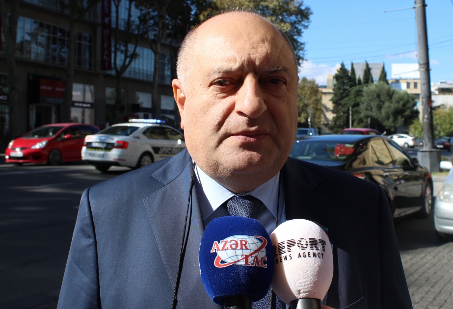 Milli Məclisin deputatı: Gürcüstanda keçirilən prezident seçkilərində qanun pozuntusuna rast gəlməmişik