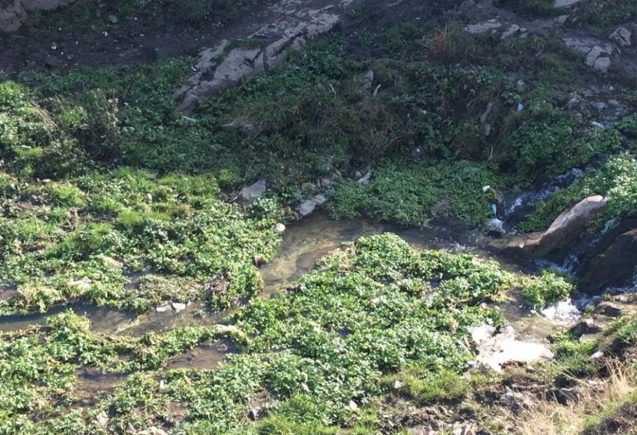 Бассейн реки Гарасу очищен от бытовых отходов