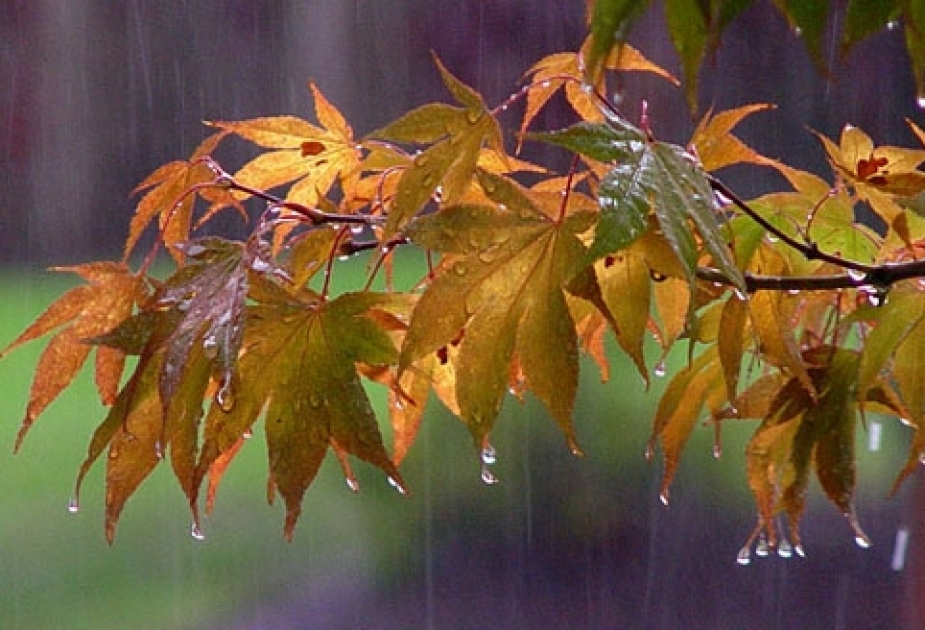 Sinoptiklərdən xəbərdarlıq: Havanın temperaturu enəcək