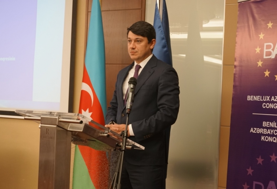 Diasporla İş üzrə Dövlət Komitəsinin nümayəndə heyətinin Avropaya səfəri davam edir