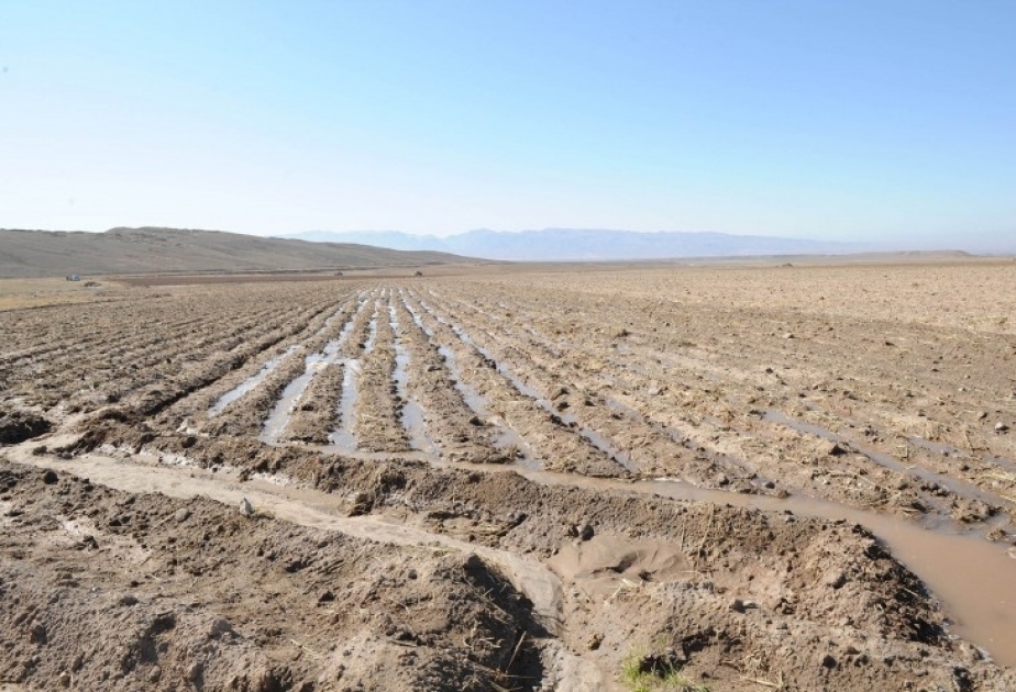 2,5 millions de manats alloués à l’amélioration de la fourniture d’eau d’irrigation aux champs de culture à Aghdam