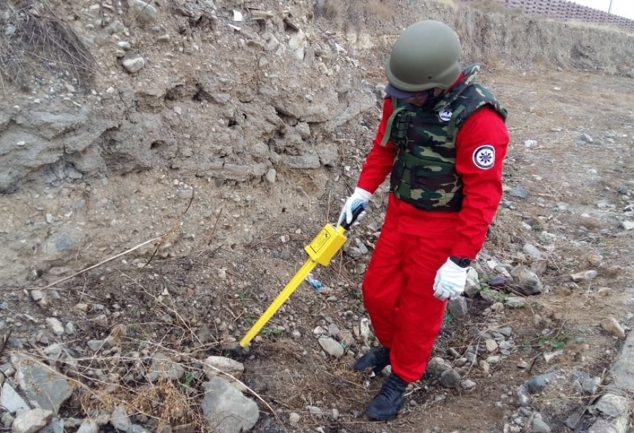 Специалисты АНАМА обнаружили неразорвавшиеся боеприпасы на территории Шамкирского района