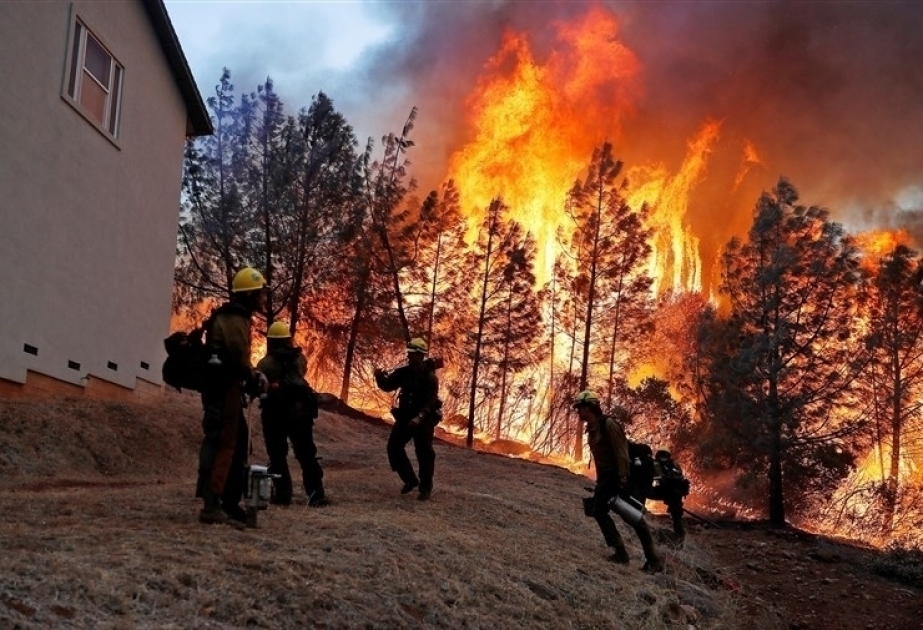 31 Tote bei Waldbränden in Kalifornien