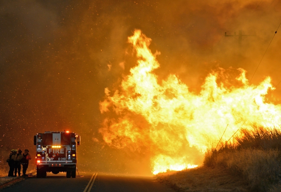 Пожары в Калифорнии: 44 погибших, поиски пропавших без вести продолжаются