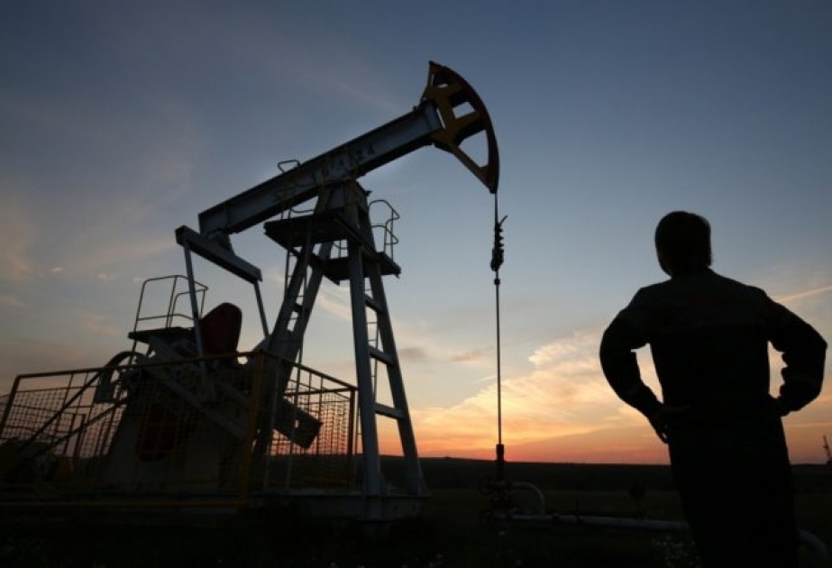 Gələn il qeyri-OPEC ölkələrinin neft təklifi sutkalıq 62 milyon barreli keçəcək