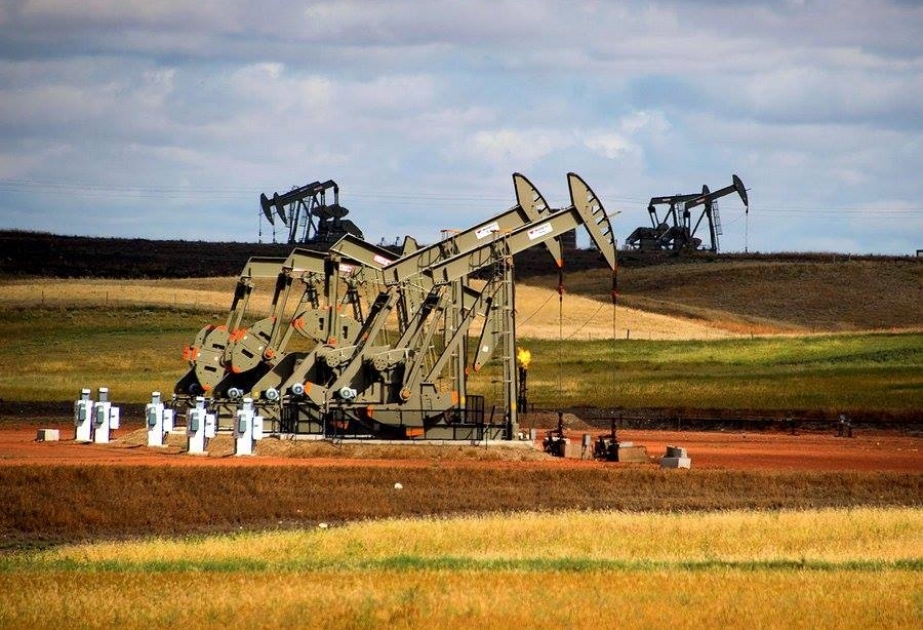 2019-cu ildə qlobal neft tələbatı sutkada 100,6 milyon barrel olacaq