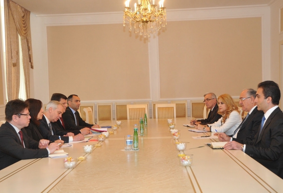 Chairman of Supreme Court met COE delegation