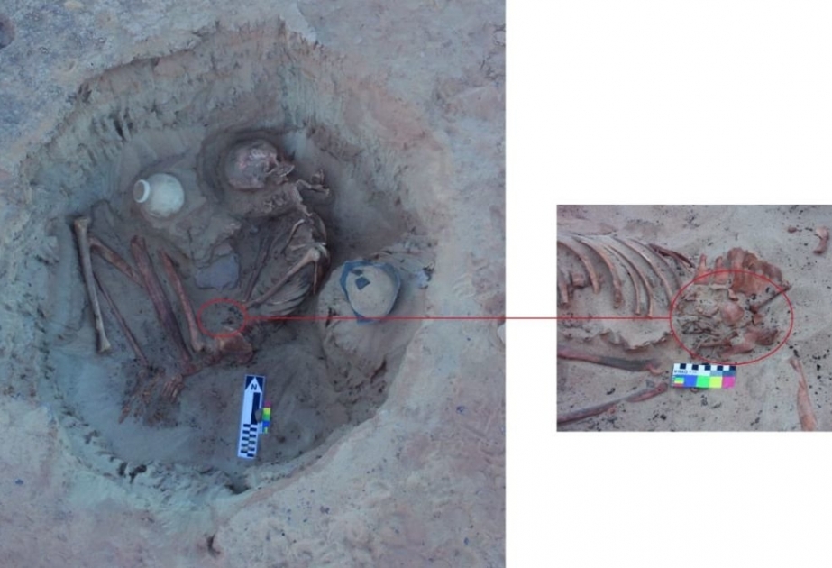 Археологи в Египте обнаружили могилу матери и ребенка