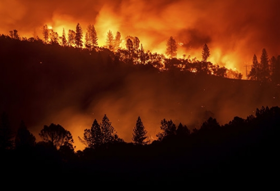 Kaliforniyada meşə yanğınları nəticəsində mindən çox insan itkin düşüb