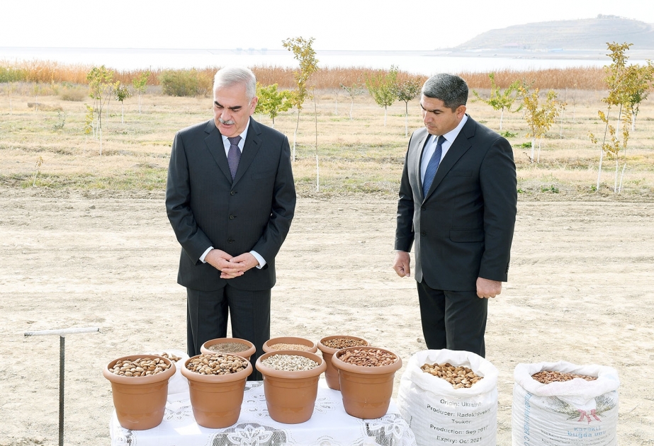 Naxçıvanda payız iməciliyi keçirilib