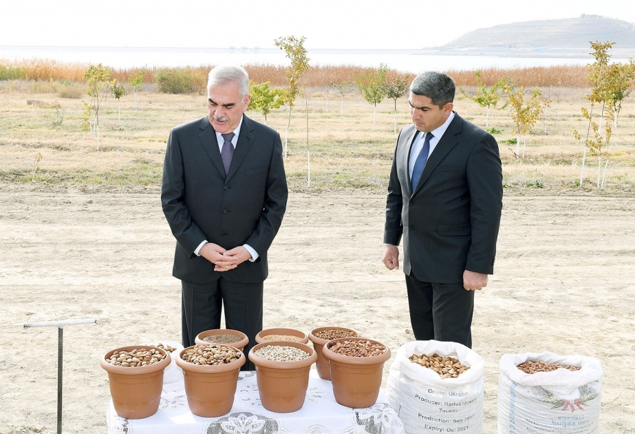 Autumn subbotnik held in Nakhchivan