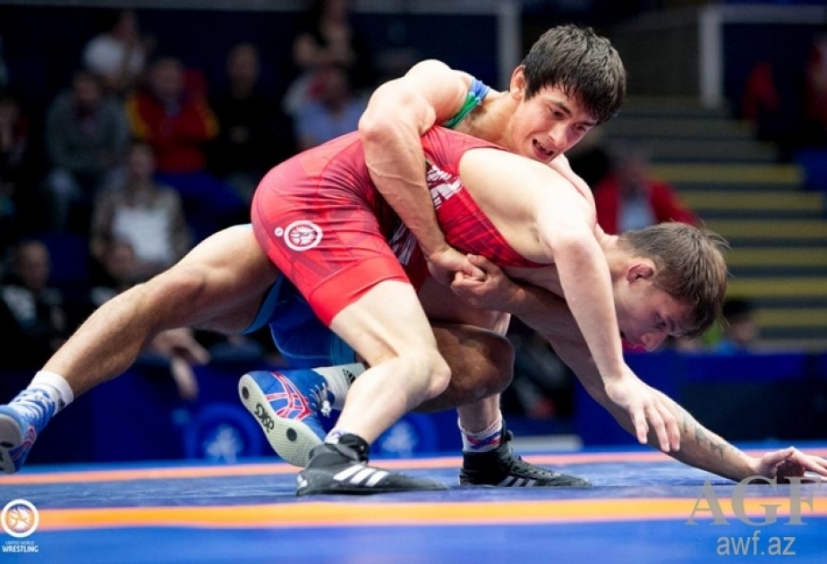 Azerbaijani wrestler wins silver at world championships