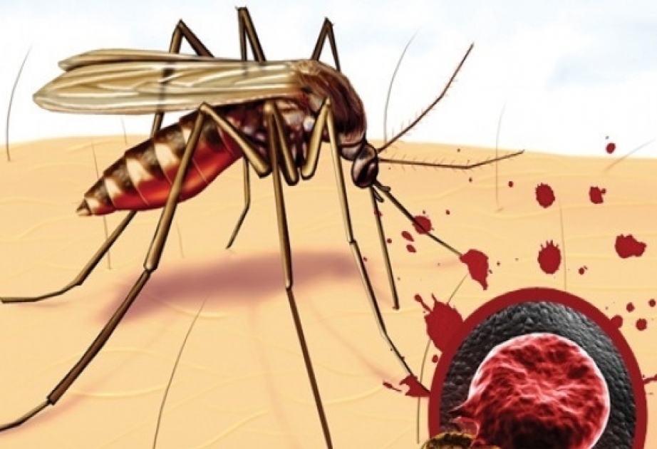 Hunderttausende sterben jedes Jahr an Malaria