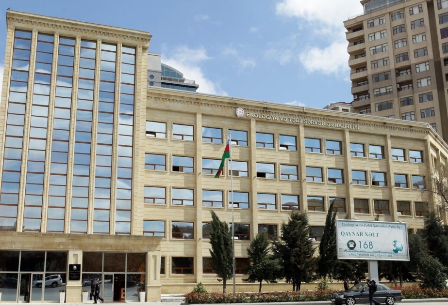 Paytaxtın Suraxanı rayonunda söyüd ağacının kəsilməsi nəticəsində təbiətə 1800 manat ziyan dəyib
