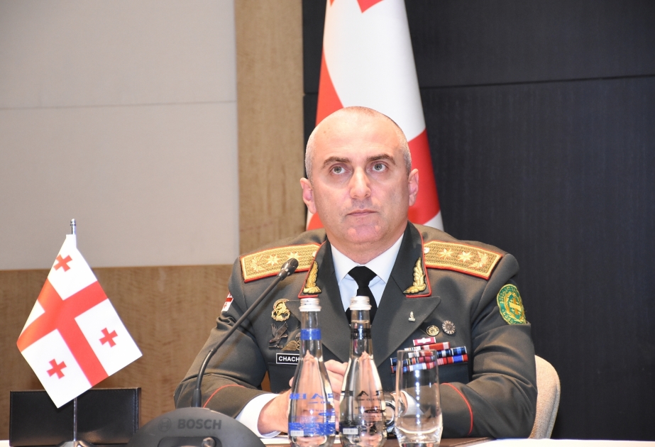 Владимир Чачибая: Сотрудничество Азербайджана, Турции и Грузии вносит важный вклад в обеспечение стабильности в регионе ВИДЕО