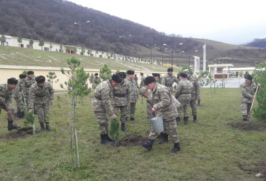Ümumordu iməciliyi keçirilib