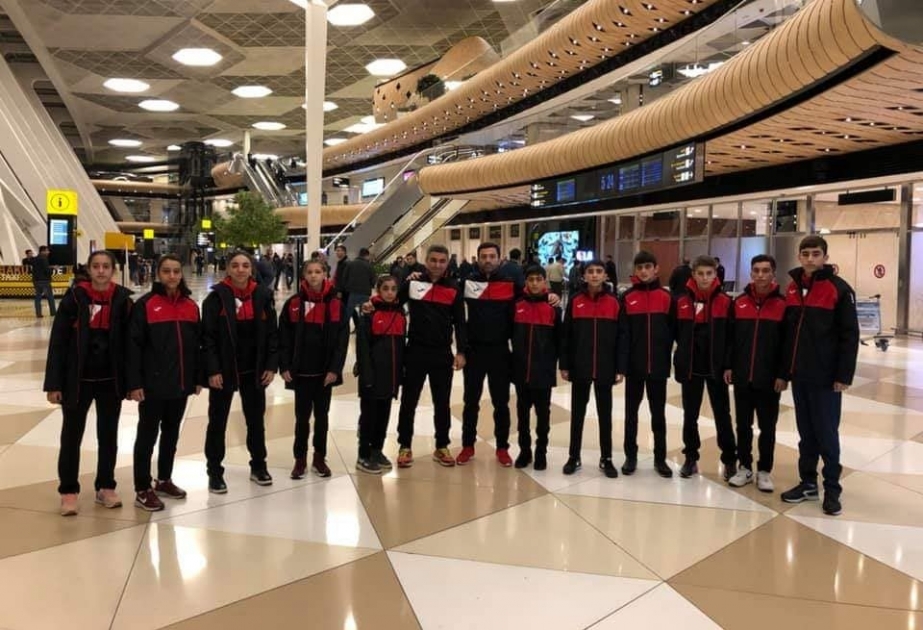 Azərbaycanın yeniyetmə taekvondoçuları Avropa birinciliyində mübarizə aparacaqlar