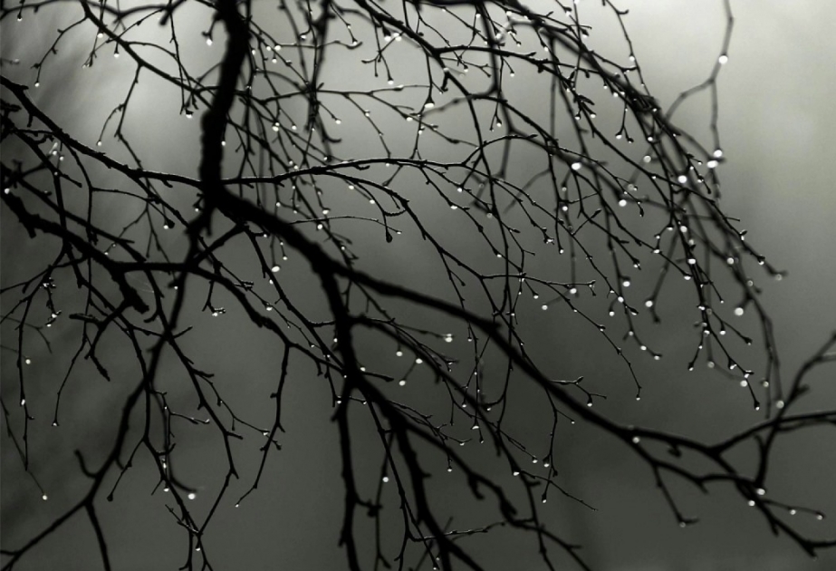 Sinoptiklərdən xəbərdarlıq: Havanın temperaturu 5-8° enəcək