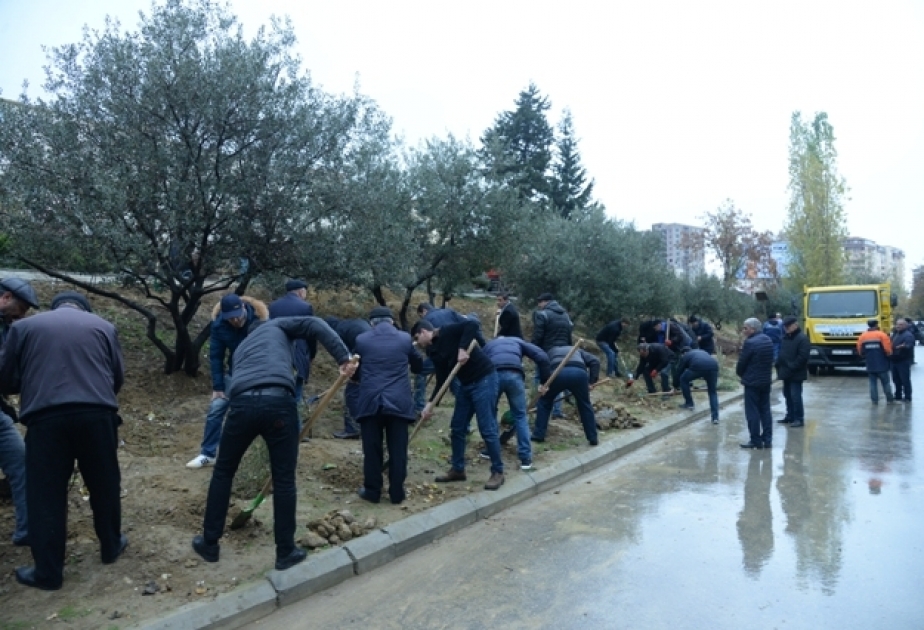 Nəsimi rayonunda iməciliklər davam edir