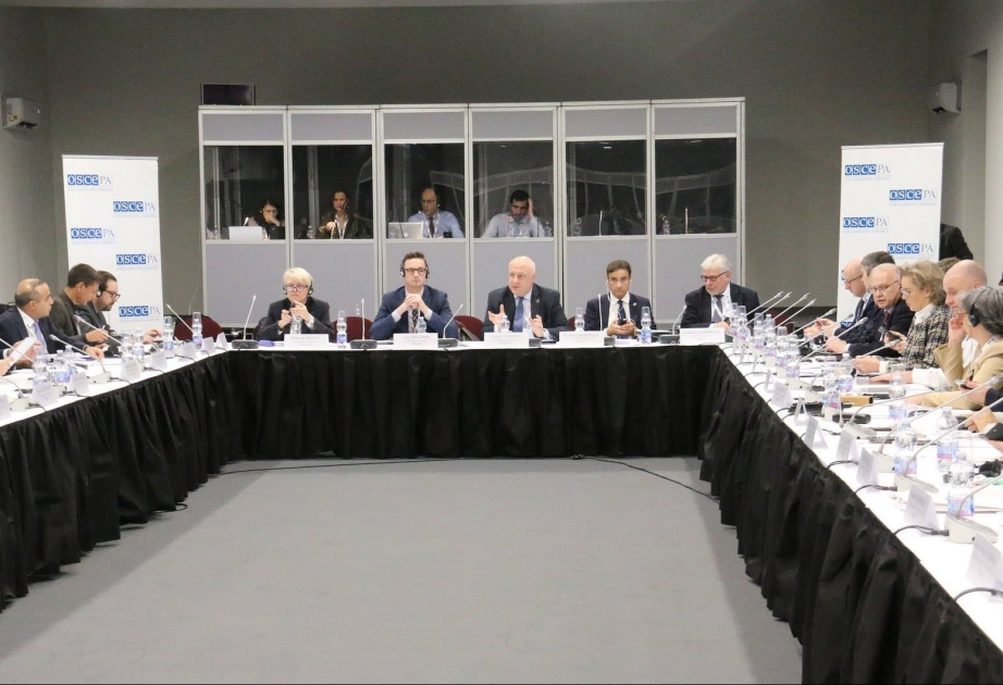 ATƏT PA-nın vitse–prezidenti: Münaqişənin adı düzgün qeyd edilməlidir