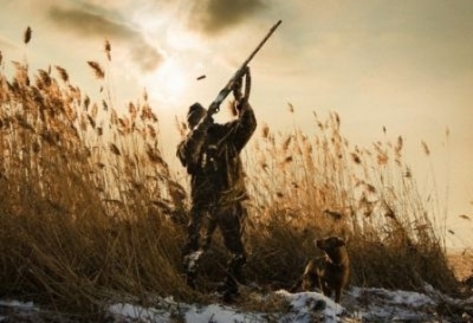 В Билясуварском районе пресечена попытка незаконной охоты