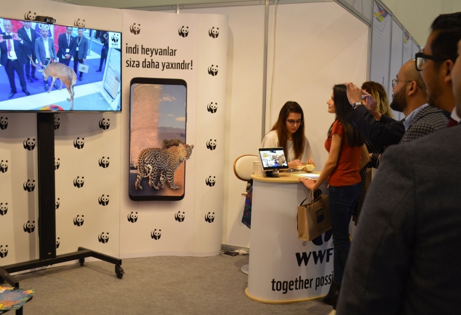 WWF Azerbaijan makes reading even more interesting for children