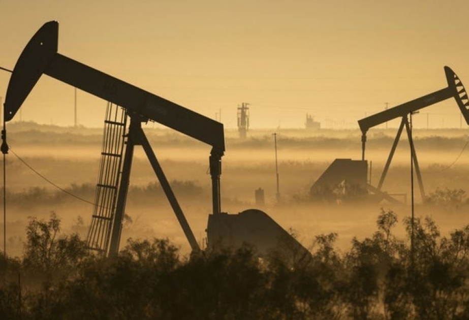 Gələn il qeyri-OPEC ölkələrinin neft təklifi gündəlik 61,9 milyon barrel olacaq