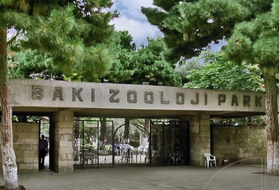 Bakı Heyvanat Parkında “Açıq qapı” günü təşkil edilib