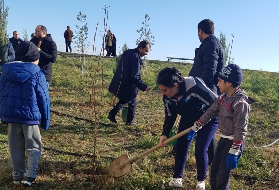 “Ağac əkək, qoruyaq, bu ənənəni yaşadaq!” aksiyasına jurnalistlər də qoşulublar