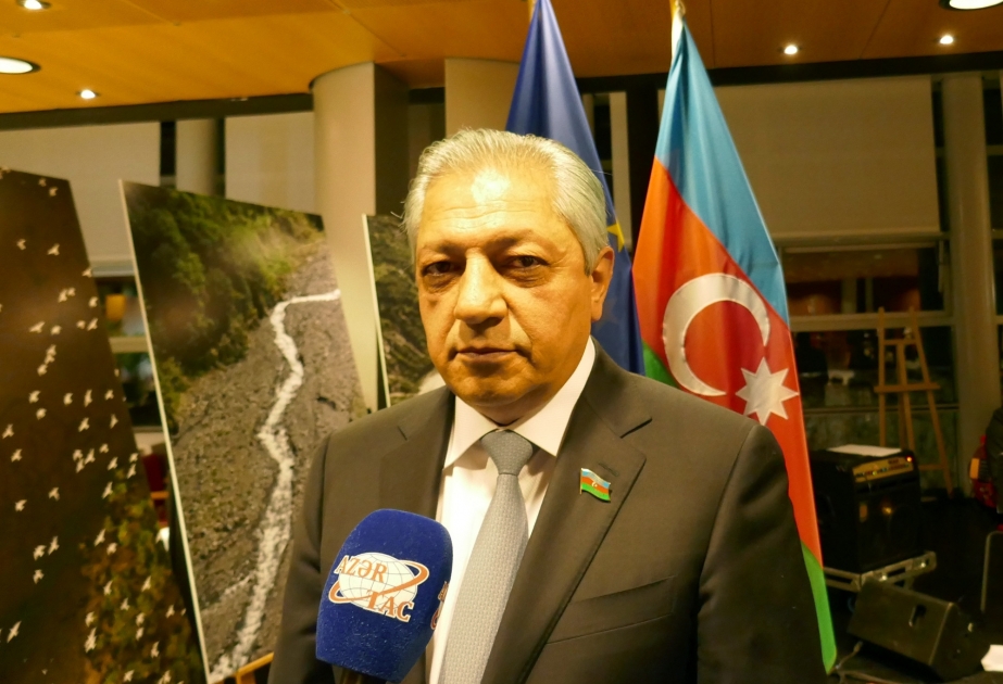 Джаваншир Фейзиев: Азербайджан - самый надежный партнер Европейского Союза на Южном Кавказе
