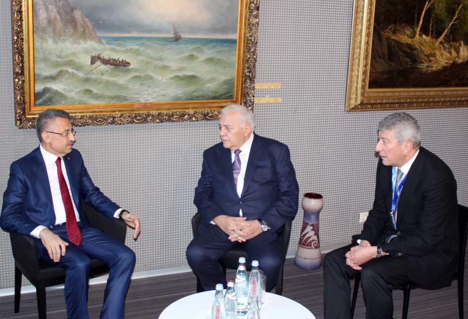 阿塞拜疆国民议会议长会见土耳其副总统