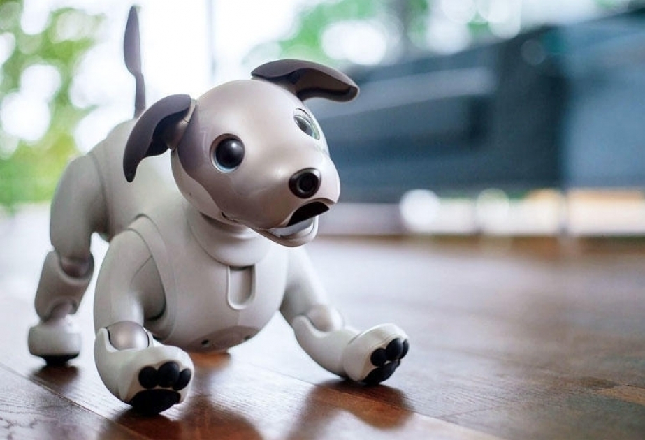 Groove X releases robot designed to show affection to humans