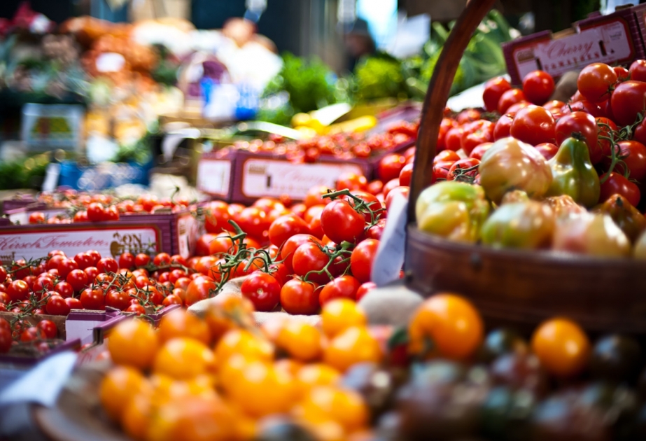 Samuxda təsərrüfatlardan tərəvəz yığımında son 15 ilin ən yüksək göstəricisi qeydə alınıb